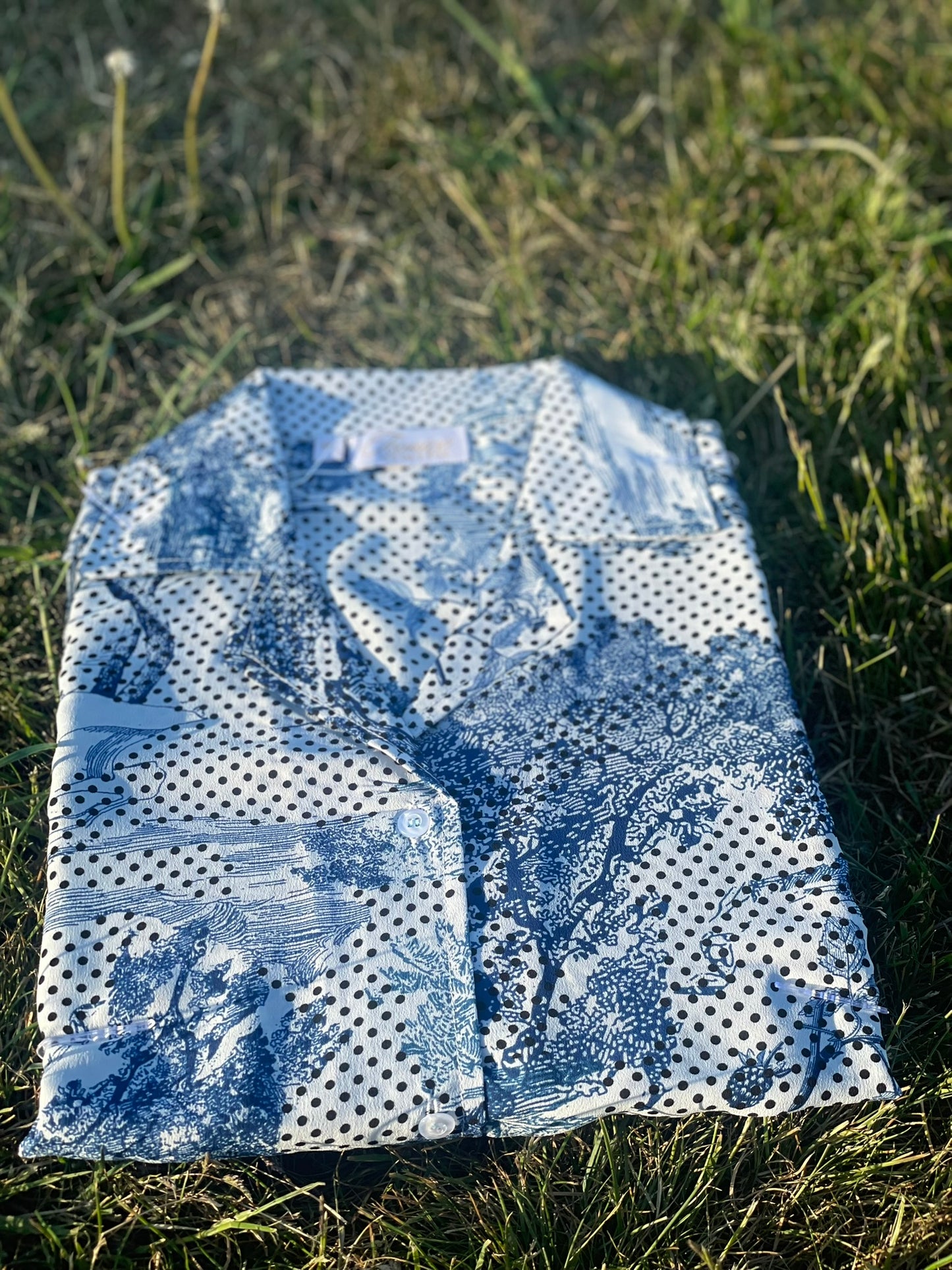 Iconico Porcelain button-up dress in delft blue floral print on dotted white linen